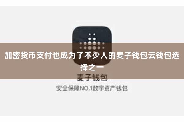 加密货币支付也成为了不少人的麦子钱包云钱包选择之一