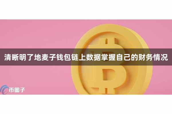 清晰明了地麦子钱包链上数据掌握自己的财务情况