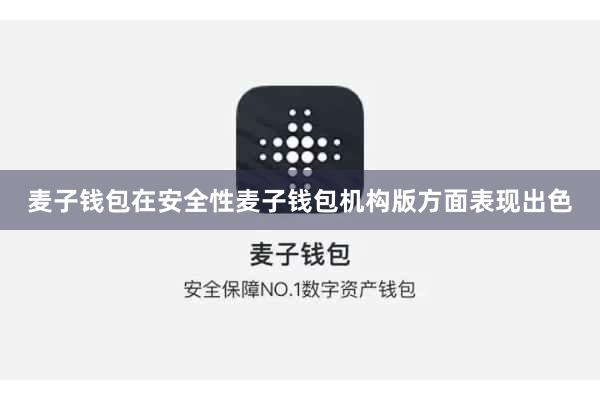 麦子钱包在安全性麦子钱包机构版方面表现出色