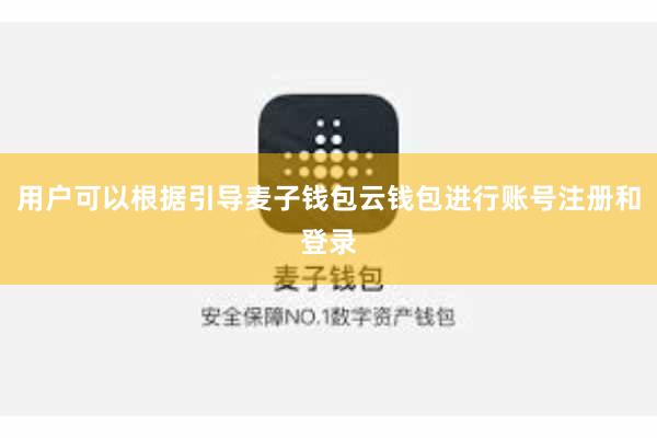 用户可以根据引导麦子钱包云钱包进行账号注册和登录
