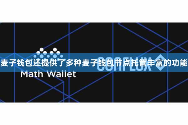 麦子钱包还提供了多种麦子钱包节点托管丰富的功能