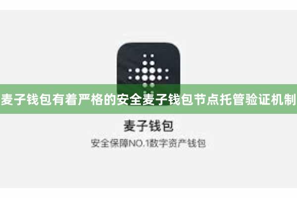 麦子钱包有着严格的安全麦子钱包节点托管验证机制