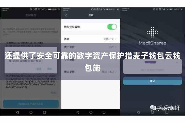 还提供了安全可靠的数字资产保护措麦子钱包云钱包施