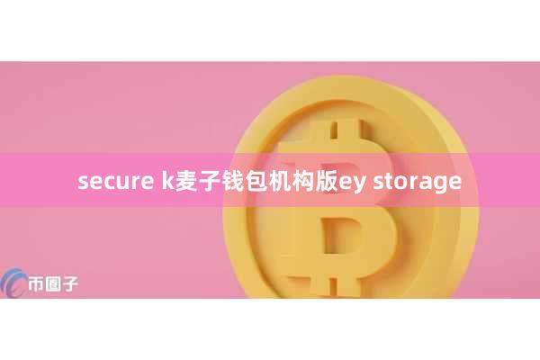 secure k麦子钱包机构版ey storage