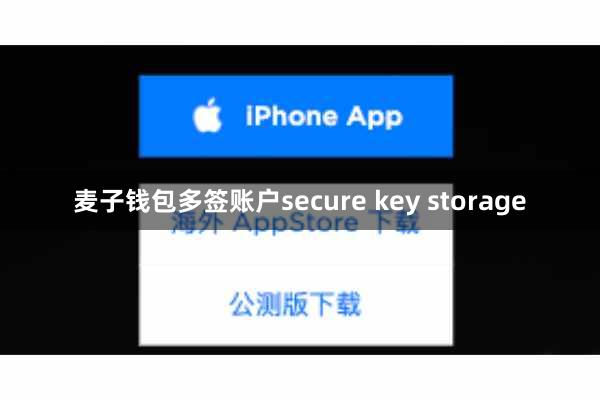 麦子钱包多签账户secure key storage