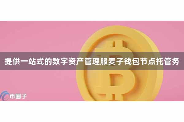 提供一站式的数字资产管理服麦子钱包节点托管务