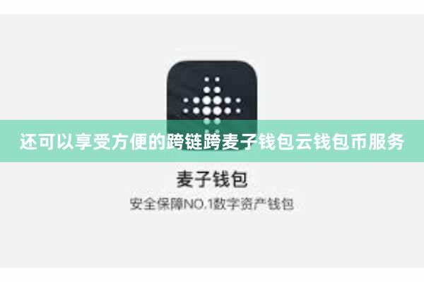 还可以享受方便的跨链跨麦子钱包云钱包币服务