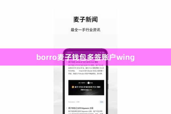 borro麦子钱包多签账户wing