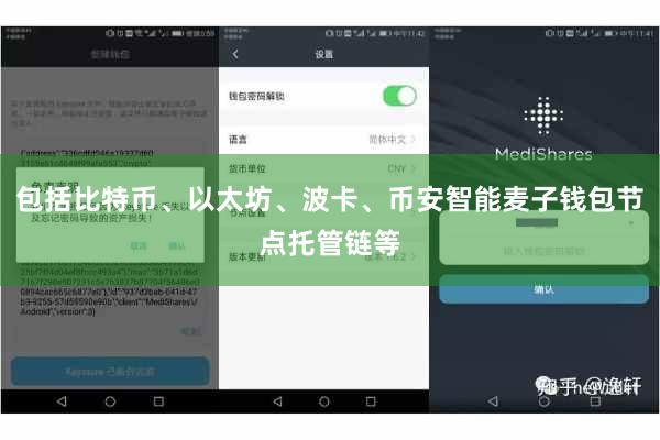 包括比特币、以太坊、波卡、币安智能麦子钱包节点托管链等