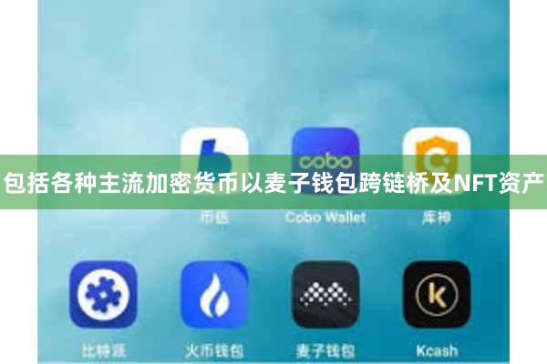 包括各种主流加密货币以麦子钱包跨链桥及NFT资产