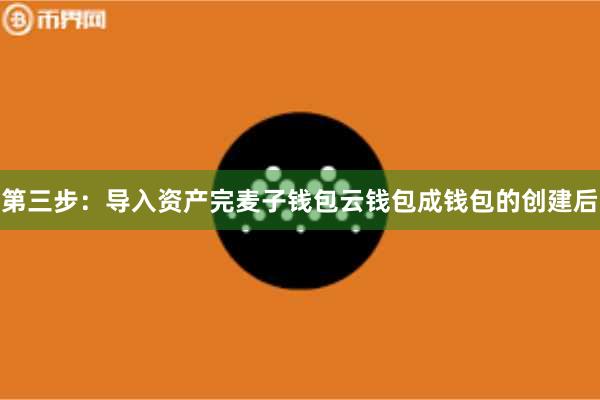 第三步:导入资产完麦子钱包云钱包成钱包的创建后