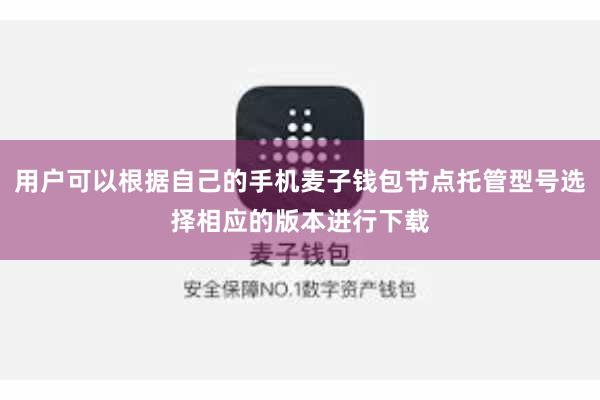 用户可以根据自己的手机麦子钱包节点托管型号选择相应的版本进行下载