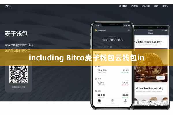 including Bitco麦子钱包云钱包in