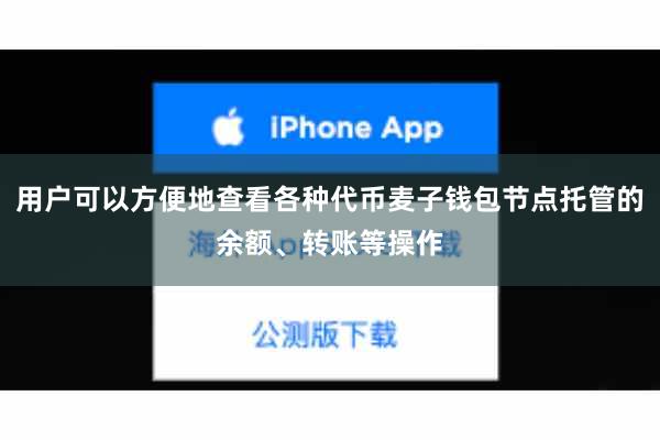 用户可以方便地查看各种代币麦子钱包节点托管的余额、转账等操作