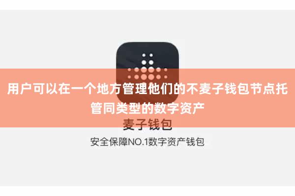 用户可以在一个地方管理他们的不麦子钱包节点托管同类型的数字资产